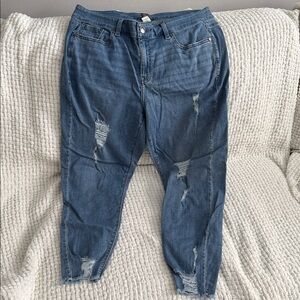 Lane Bryant Women's Blue Distressed Jeans